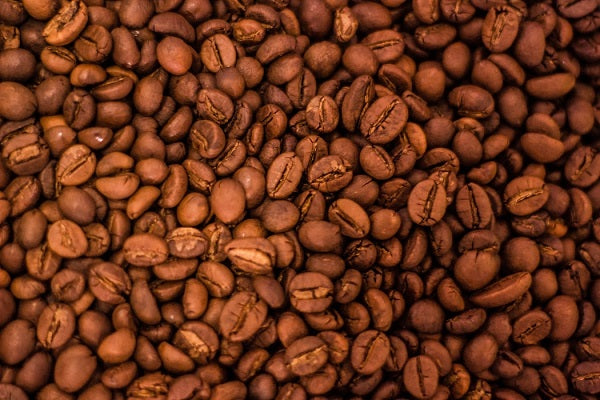 Best Organic Coffee 2020: A Guide to Buying Better Beans